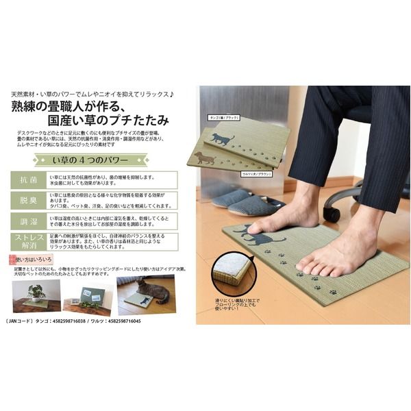スーパSALE10倍＆4時間限定10％OFF 国産い草使用 足快適プチたたみ ワルツ（犬/ブラウン）