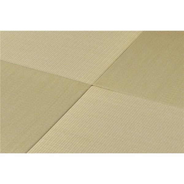 スーパSALE10倍＆4時間限定10％OFF い草 置き畳/ユニット畳 【65×65×2.5cm ナチュラル】 抗カビ 消臭 防音 クッション性 軽量 『フラッタ 王騎』 〔リビング〕【代引NG】