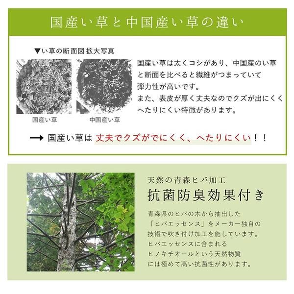 夏用 い草 ラグマット/絨毯 シンプル ネイビー 約191×191cm 正方形 日本製 抗菌 防臭 湿度調節 耐久性 〔リビング〕代引NG