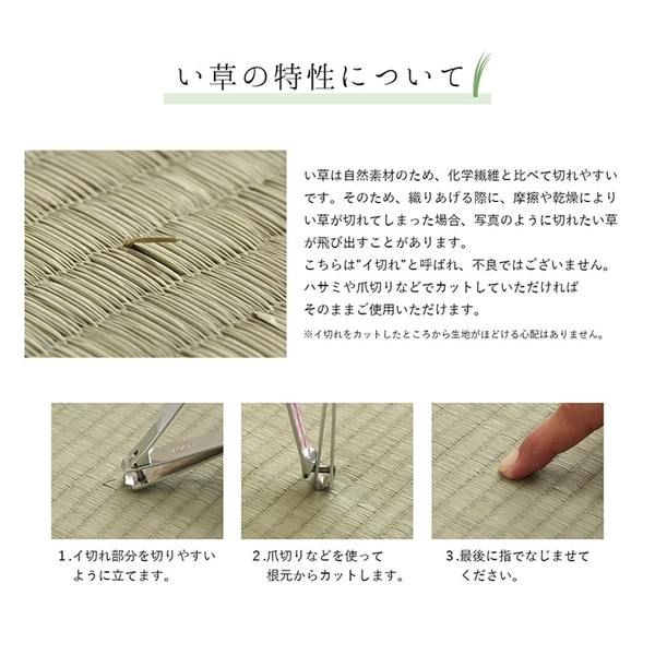 夏用 い草 ラグマット/絨毯 シンプル ネイビー 約191×191cm 正方形 日本製 抗菌 防臭 防滑 湿度調節 ホットカーペット対応代引NG