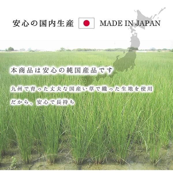 夏用 い草 ラグマット/絨毯 シンプル ネイビー 約191×250cm 長方形 日本製 抗菌 防臭 防滑 湿度調節 ホットカーペット対応代引NG