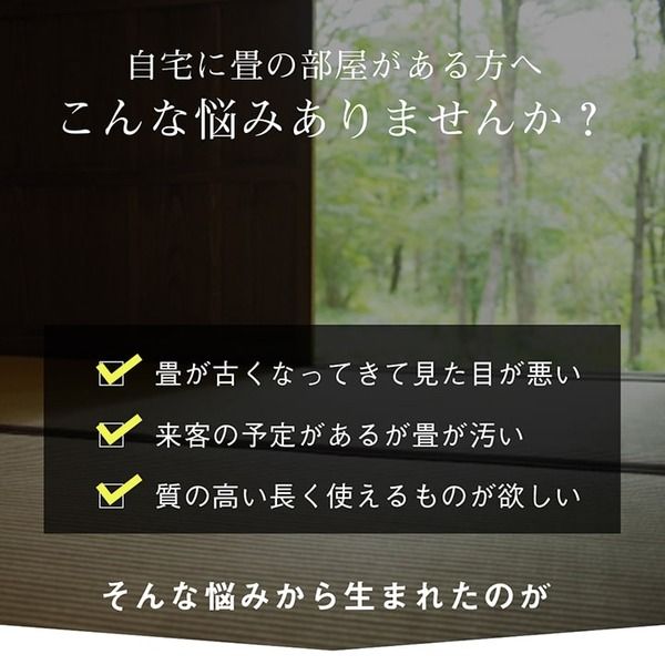 双目織 い草 上敷き/ラグマット 江戸間4.5畳 約261×261cm 日本製 撥水 抗菌 防臭 消臭 調湿機能付 耐久性抜群 〔リビング〕代引NG