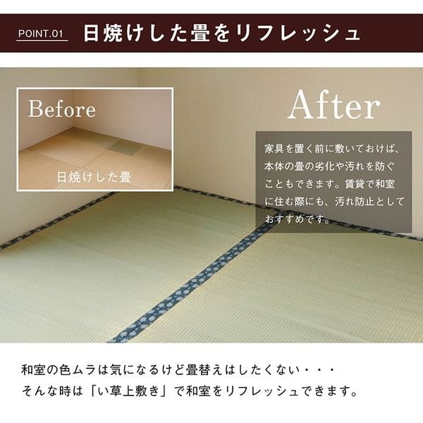 双目織 い草 上敷き/ラグマット 江戸間4.5畳 約261×261cm 日本製 撥水 抗菌 防臭 消臭 調湿機能付 耐久性抜群 〔リビング〕代引NG