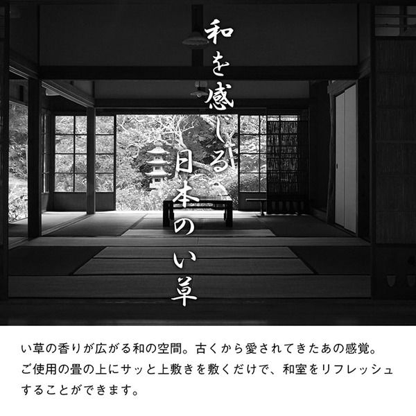 双目織 い草 上敷き/ラグマット 本間2畳 約191×191cm 日本製 撥水 抗菌 防臭 消臭 調湿機能付 耐久性抜群 〔リビング〕代引NG