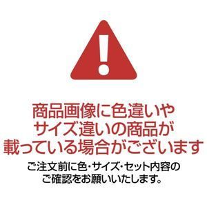 ハンガー付きミラー/ハンガーラック ブラウン 幅400mm 飛散防止加工鏡 スチールフレーム キャスター 〔リビング〕 組立品代引NG
