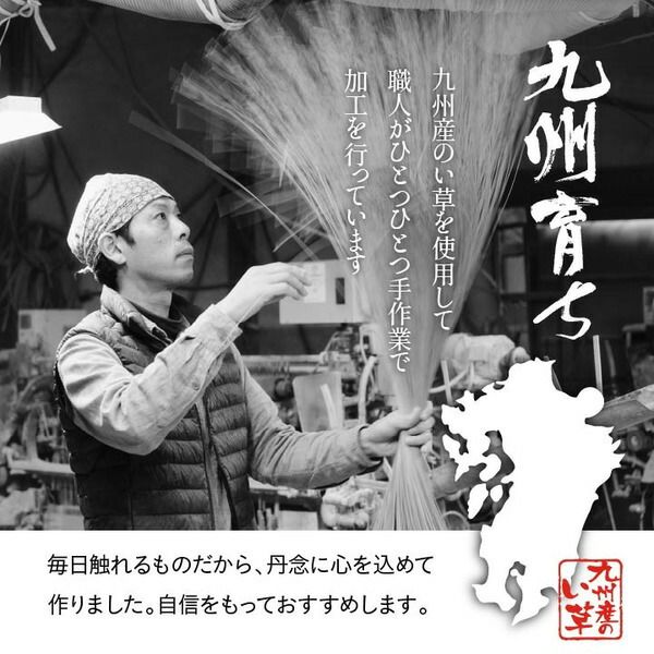 純国産い草 上敷きカーペット/絨毯 格子柄 本間3畳 約191×286cm 両面使用 抗菌 防臭 調湿 耐久性 日本製 〔リビング〕代引NG
