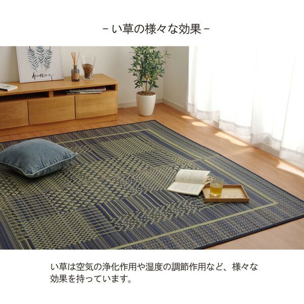 消臭い草 ラグマット/絨毯 長方形 ブルー 約191×300cm 裏：不織布 防滑 抗菌 防臭 湿度調整効果 〔リビング〕代引NG
