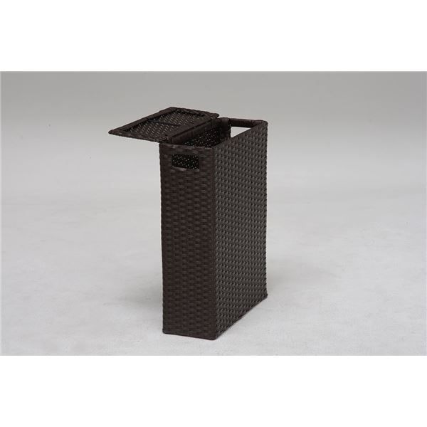 スーパSALE10倍＆4時間限定10％OFF トイレットペーパーボックス/トイレ収納 【ダークブラウン幅35×奥行14×高さ47cm】 スチール 〔御手洗 レストルーム〕【代引NG】