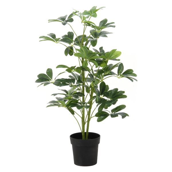 スーパSALE10倍＆4時間限定10％OFF 観葉植物 造花 幅50×奥行50×高さ120cm ヤドリフカノキ インテリアグリーン リビング ダイニング インテリア雑貨【代引NG】