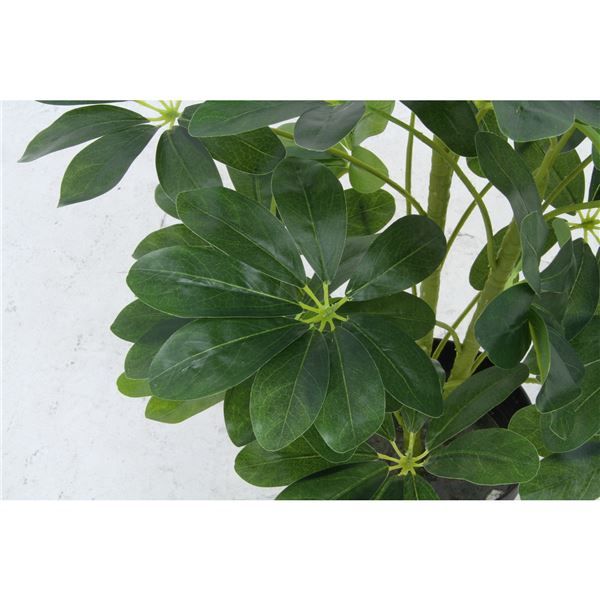 スーパSALE10倍＆4時間限定10％OFF 観葉植物 造花 幅50×奥行50×高さ120cm ヤドリフカノキ インテリアグリーン リビング ダイニング インテリア雑貨【代引NG】
