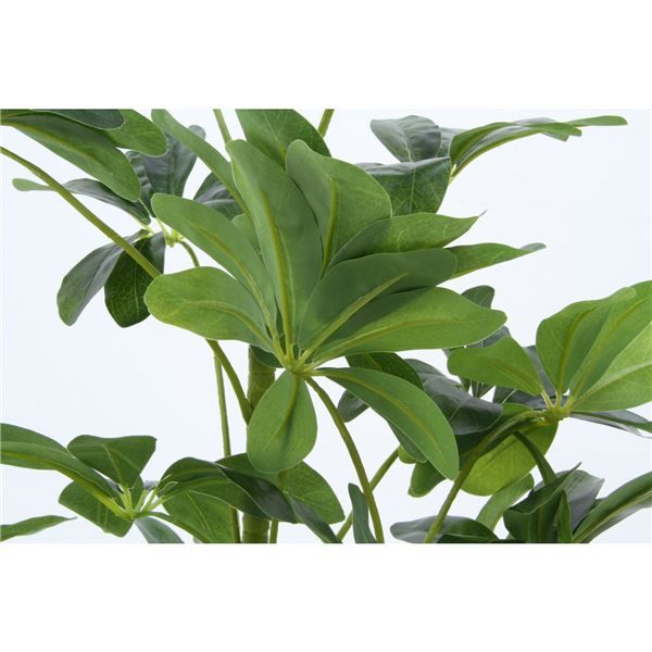 スーパSALE10倍＆4時間限定10％OFF 観葉植物 造花 幅50×奥行50×高さ120cm ヤドリフカノキ インテリアグリーン リビング ダイニング インテリア雑貨【代引NG】