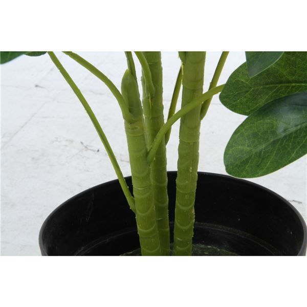 スーパSALE10倍＆4時間限定10％OFF 観葉植物 造花 幅50×奥行50×高さ120cm ヤドリフカノキ インテリアグリーン リビング ダイニング インテリア雑貨【代引NG】