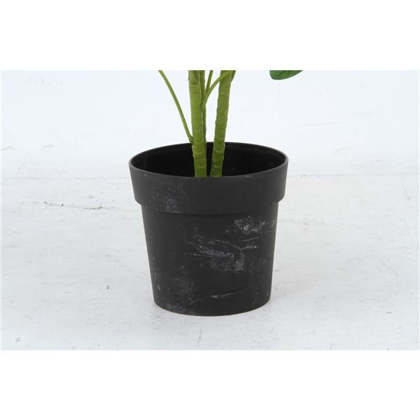 スーパSALE10倍＆4時間限定10％OFF 観葉植物 造花 幅50×奥行50×高さ120cm ヤドリフカノキ インテリアグリーン リビング ダイニング インテリア雑貨【代引NG】
