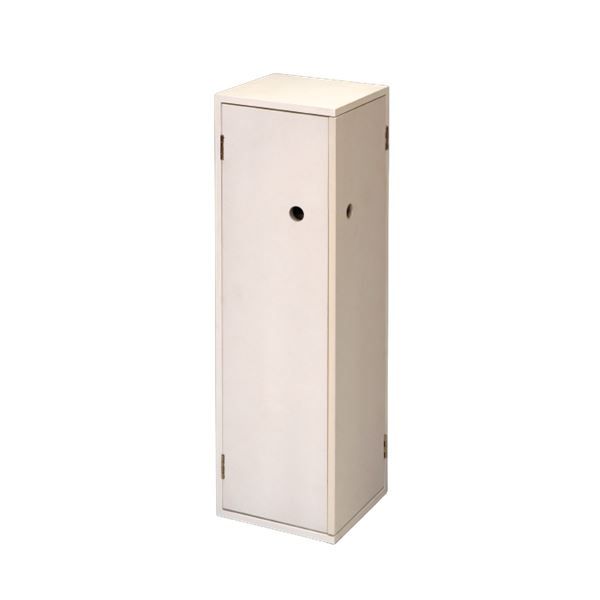 スーパSALE10倍＆4時間限定10％OFF トイレラック トイレ収納 約幅16×奥行16×高さ54cm ホワイト サニタリーコーナーラック お手洗い 御手洗