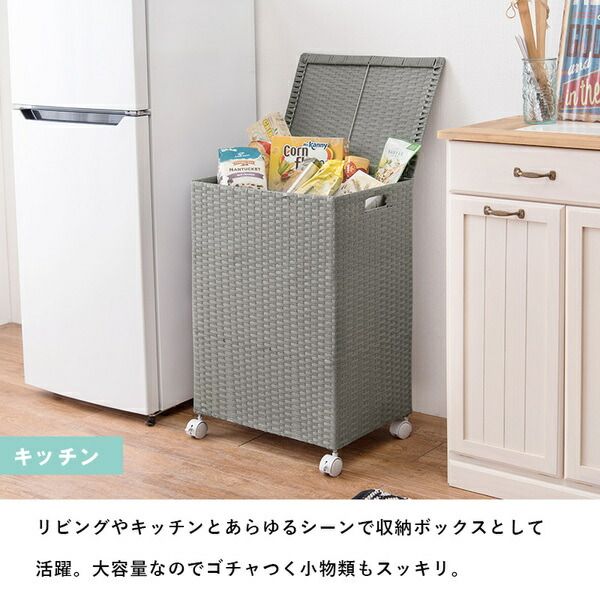 スーパSALE10倍＆4時間限定10％OFF ランドリーラック/ランドリー収納 【ホワイト 約幅45cm】 蓋付き キャスター付 洗濯かご チェスト 収納ボックス スチール【代引NG】