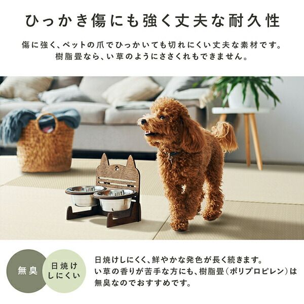 〔1枚(単品)〕 PP 置き畳 ユニット畳 約幅82×奥行82×高さ2.5cm ブラウン 樹脂畳 軽量 軽い 滑りにくい 裏面 滑り止めシート付き キズ防止 傷防止 耐久性 丈夫 頑丈 簡単設置 お手入れ簡単 水拭き可 畳マット インテリア家具 インテリア雑貨 リビング家具【代引不可】