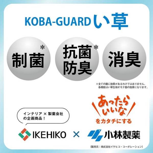 い草 枕/ピロー 約50×30cm オレンジ 消臭 抗菌 防臭 小林製薬コバガード使用 シンプル ごろ寝 〔ベッドルーム リビング〕代引NG