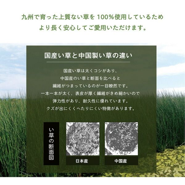 い草 枕/ピロー 無地 平枕 約50×30cm グリーン 高さ調整可 消臭 吸湿 調湿機能 日本製 〔ベッドルーム 寝室〕代引NG