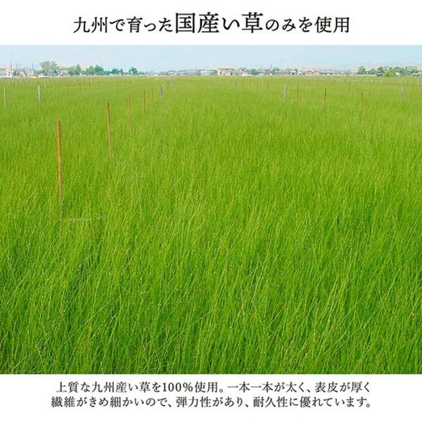 い草 花ござ ラグマット/絨毯 海 ブルー 江戸間1畳 約87×174cm 日本製 抗菌 防臭 調湿 消臭 掛川織 〔リビング〕代引NG