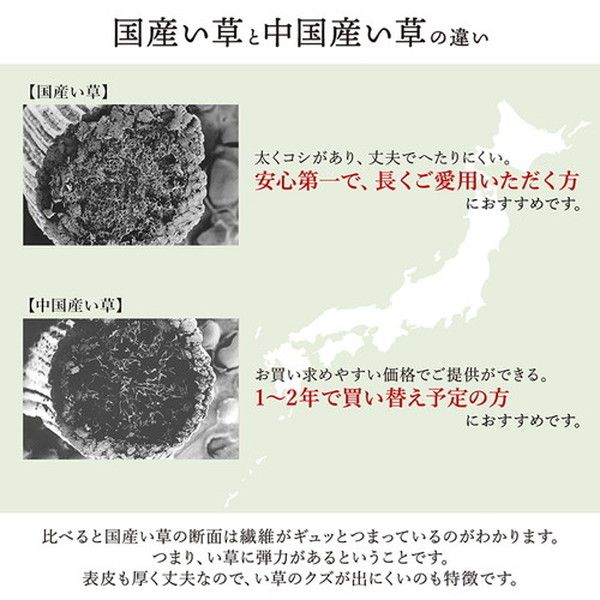 い草 花ござ ラグマット/絨毯 海 ブルー 江戸間1畳 約87×174cm 日本製 抗菌 防臭 調湿 消臭 掛川織 〔リビング〕代引NG