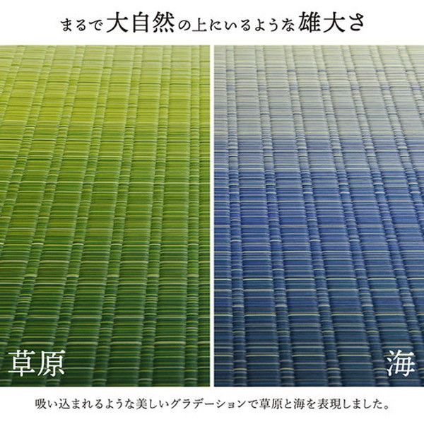 い草 花ござ ラグマット/絨毯 海 ブルー 江戸間1畳 約87×174cm 日本製 抗菌 防臭 調湿 消臭 掛川織 〔リビング〕代引NG