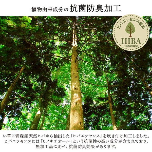 い草 花ござ ラグマット/絨毯 草原 グリーン 江戸間3畳 約174×261cm 日本製 抗菌 防臭 調湿 消臭 掛川織 〔リビング〕代引NG