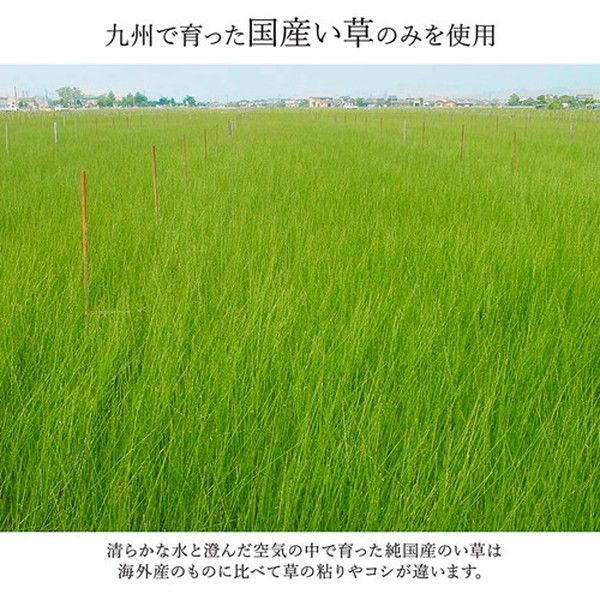 い草 花ござ ラグマット/絨毯 江戸間6畳 約261×352cm グリーン 日本製 抗菌 防臭 調湿 消臭 掛川織 〔リビング〕代引NG