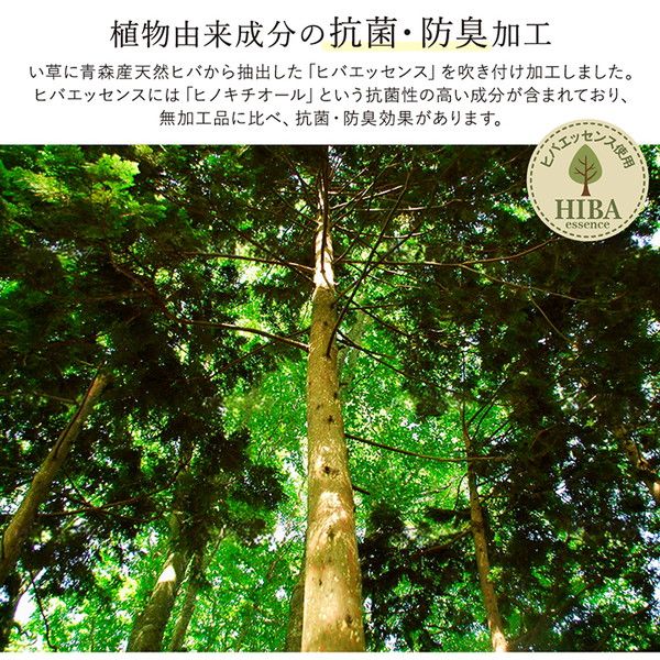 い草 ラグマット/絨毯 約140×200cm ダークブラウン 日本製 抗菌 防臭 調湿 消臭 防滑機能 ウレタン 〔リビング〕代引NG