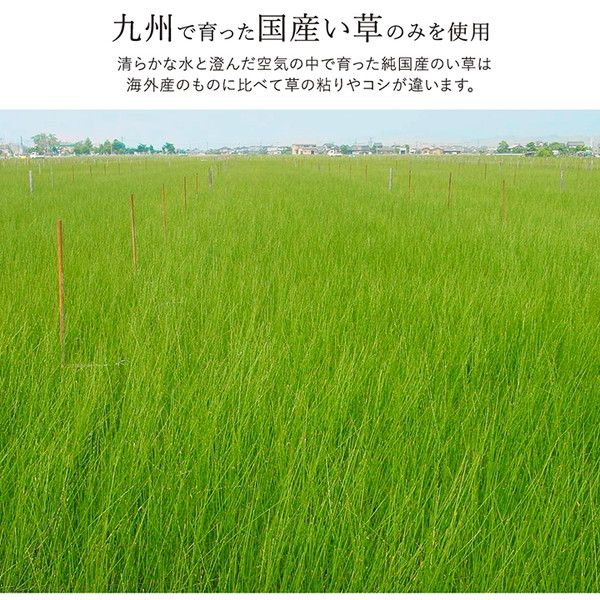 い草 ラグマット/絨毯 約191×191cm グリーン 日本製 抗菌 防臭 調湿 消臭 防滑機能 ウレタン 〔リビング〕代引NG