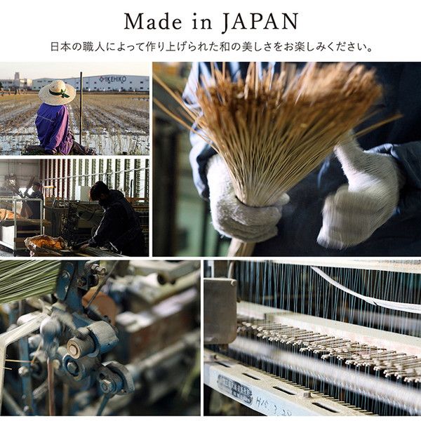 い草 ラグマット/絨毯 約191×191cm グレー 日本製 抗菌 防臭 調湿 消臭 防滑機能 ウレタン 〔リビング〕代引NG