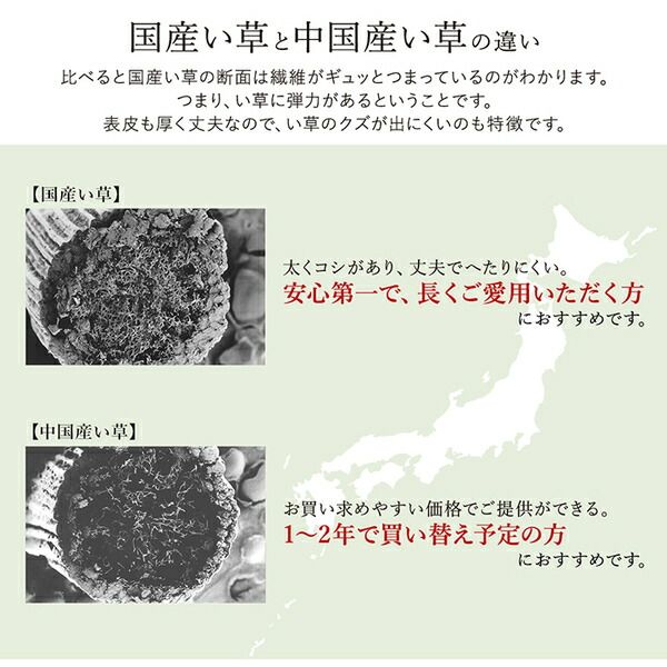 い草 ラグマット/絨毯 約140×200cm ライトブラウン 日本製 抗菌 防臭 調湿 消臭 防滑機能 ウレタン 〔リビング〕代引NG