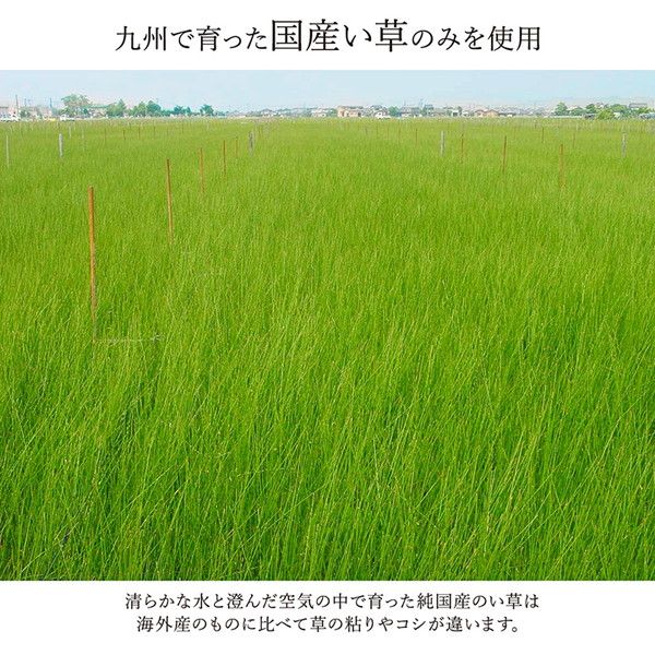 い草 花ござ ラグマット/絨毯 本間1畳 約95.5×191cm ベージュ 日本製 抗菌 防臭 消臭 調湿 パッチワーク風 〔リビング〕代引NG