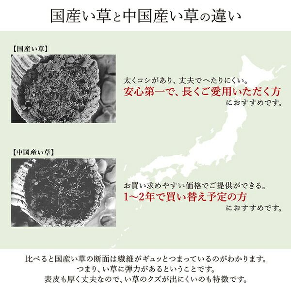 い草 花ござ ラグマット/絨毯 本間1畳 約95.5×191cm ベージュ 日本製 抗菌 防臭 消臭 調湿 パッチワーク風 〔リビング〕代引NG