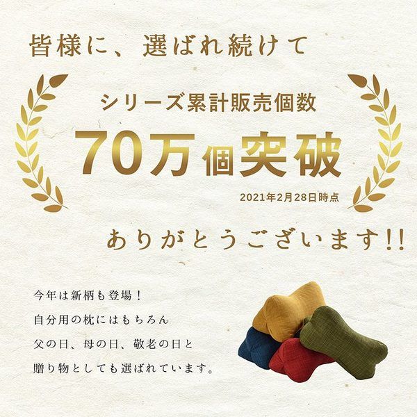 3%OFFクーポン有  寝具 枕 くつろぐ もっちり 機能性 お昼寝 低反発チップ パイプ 日本製 ほね枕 足枕 約32×15cm ネイビー