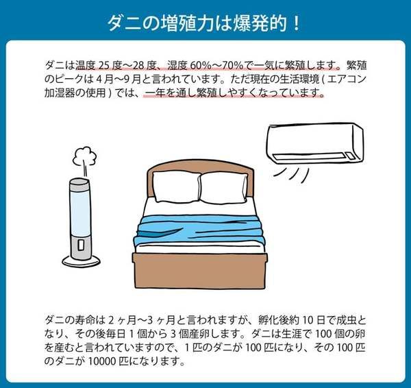 寝具 清潔 快適 掛け布団 ダニ増殖抑制 日本製 無地 シンプル シングルロング 約150×210cm代引NG