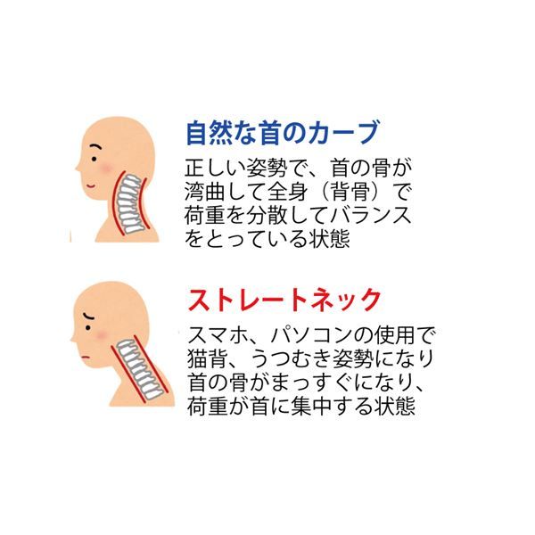 スーパSALE10倍＆4時間限定10％OFF 枕 寝具 約35×65×18cm 日本製 ピローケース付き 整体師のふわもち枕 ベッドルーム 寝室 プレゼント 贈り物