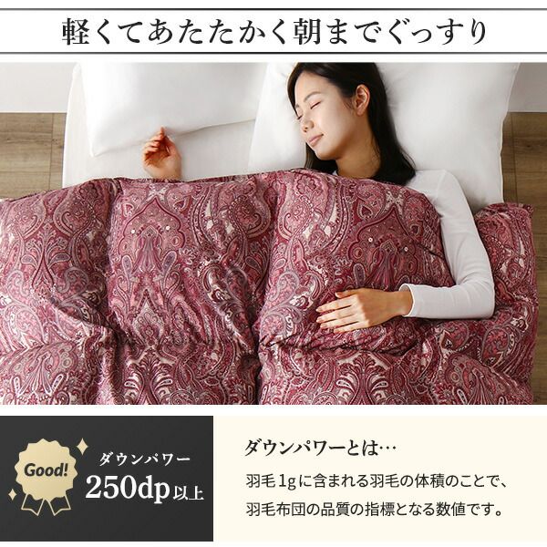 羽毛布団 掛け布団 シングル ブラウン ダウン50% 250dp パワーアップ加工 抗菌 防臭 防ダニ 日本製 国産 ピーチスキン加工 ループ付き 高品質ホワイトダックダウン採用 二重縫製 掛 布団 ふとん 寝具代引NG