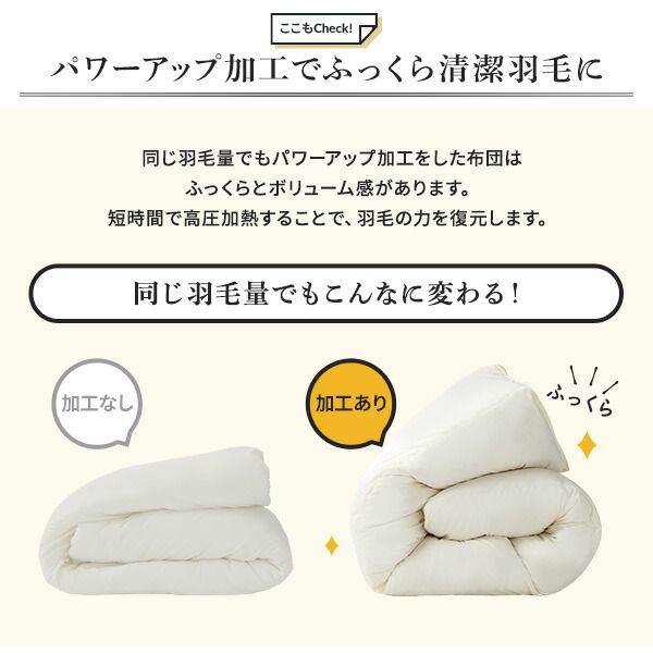 羽毛布団 掛け布団 シングル ブラウン ダウン50% 250dp パワーアップ加工 抗菌 防臭 防ダニ 日本製 国産 ピーチスキン加工 ループ付き 高品質ホワイトダックダウン採用 二重縫製 掛 布団 ふとん 寝具代引NG
