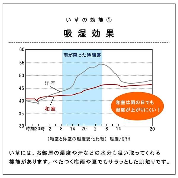 スーパSALE10倍＆4時間限定10％OFF 置き畳 ユニット畳 和室 6層 約70×70×4.5cm 単品 防炎 軽量 い草 日本製 国産 置きたたみ イ草 畳マット ジョイントマット【代引NG】