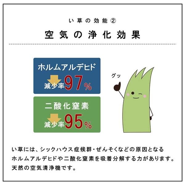 スーパSALE10倍＆4時間限定10％OFF 置き畳 ユニット畳 和室 6層 約70×70×4.5cm 4枚組 防炎 軽量 い草 日本製 国産 置きたたみ イ草 畳マット ジョイントマット【代引NG】