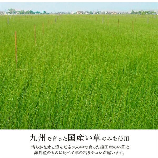 スーパSALE10倍＆4時間限定10％OFF 置き畳 約82×82×1.7cm 1枚 単品 市松柄 ブラック 日本製 い草 ユニット畳 軽量 防滑 抗菌 防臭 消臭 調湿 防音対策 置きたたみ イ草 畳マット ジョイントマット【代引NG】