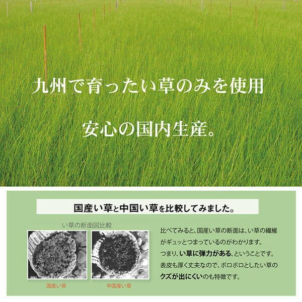 い草 マット 子供用 ベビー用 約70×120cm ブルー 星柄 日本製 国産 お昼寝 寝具代引NG