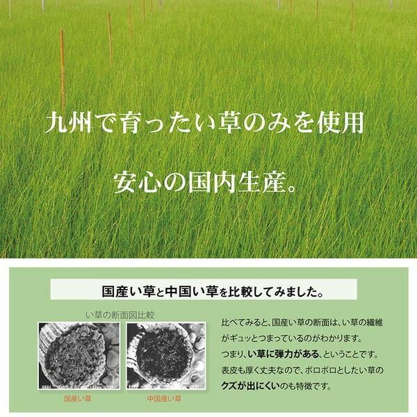 スーパSALE10倍＆4時間限定10％OFF い草 シーツ 子供用 ベビー用 約70×120cm ブルー 星柄 日本製 国産 お昼寝 寝具【代引NG】