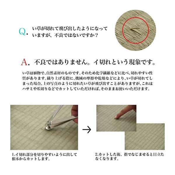 日本製 い草 い草マット マット ごろ寝マット フリーマット クッション性 和風柄 グリーン 約70×180cm代引NG