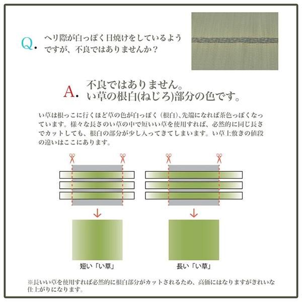 ラグ 長方形 い草 日本製 国産 自然素材 ナチュラル 市松柄 オールシーズン 消臭 シンプル 3畳(約191×250cm) ホットカーペット対応 床暖房対応代引NG