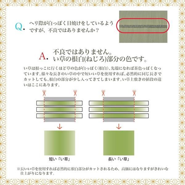 上敷き ゴザ 敷詰 カーペット い草 自然素材 日本製 国産 消臭 抗菌防臭 麻の葉 レトロ 和 ベージュ 江戸間4.5畳(約261×261cm)代引NG