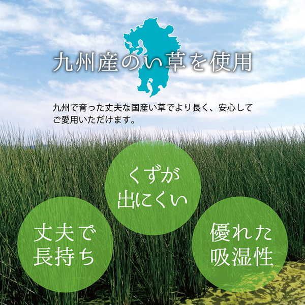 上敷き ゴザ 敷詰 カーペット い草 自然素材 日本製 国産 消臭 抗菌防臭 麻の葉 レトロ 和 ベージュ 江戸間4.5畳(約261×261cm)代引NG