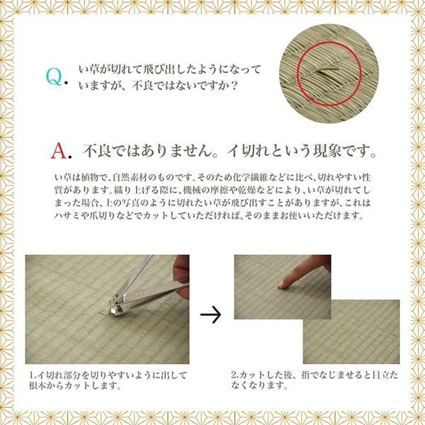 上敷き ゴザ 敷詰 カーペット い草 自然素材 日本製 国産 消臭 抗菌防臭 麻の葉 レトロ 和 ベージュ 江戸間8畳(約348×352cm)代引NG