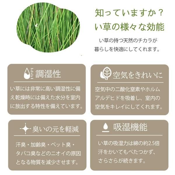 ラグ マット 国産 日本製 い草 高級感 エレガンス 消臭 自然素材 滑り止め加工 不織布 ワイン 正方形 約191×191cm代引NG