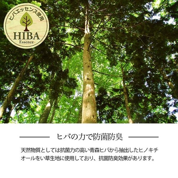 い草ラグ 花ござ カーペット 格子柄 ナチュラル シンプル 和室 抗菌防臭 消臭 お手入れ簡単 夏快適さらさら 江戸間4.5畳(約261×261cm) レイクブルー代引NG